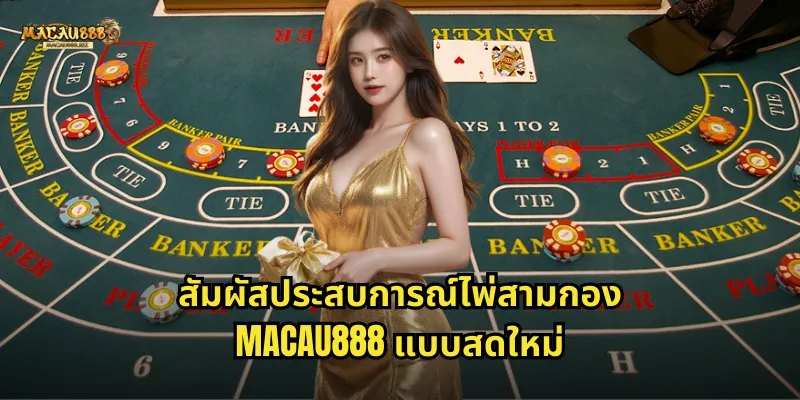 สัมผัสประสบการณ์ไพ่สามกอง MACAU888 แบบสดใหม่