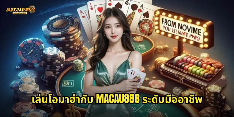เล่นโอมาฮ่ากับ MACAU888 ระดับมืออาชีพ